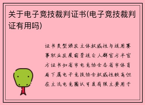 关于电子竞技裁判证书(电子竞技裁判证有用吗)